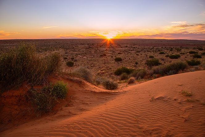 Birdsville Img5