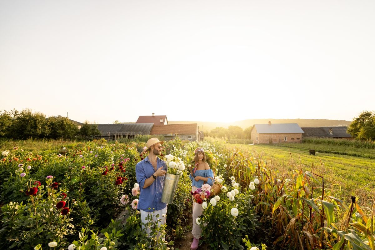 Man and Woman Pick up Flowers at Farm Outdoors 2025 03 14 01 47 26 Utc