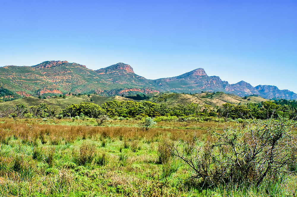 Flinders Ranges Spring 5 Days Exploring the Flinders Ranges | Mater Lotteries