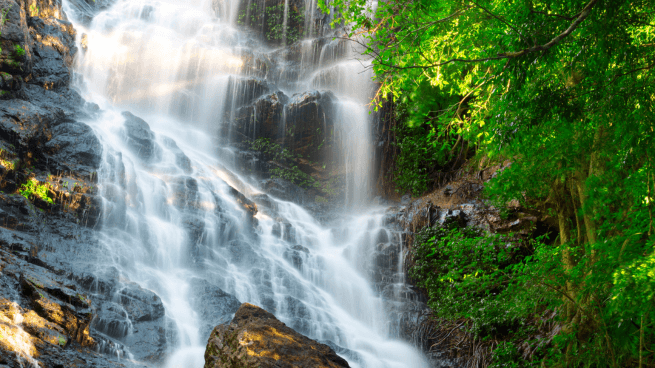 Kondalilla Falls