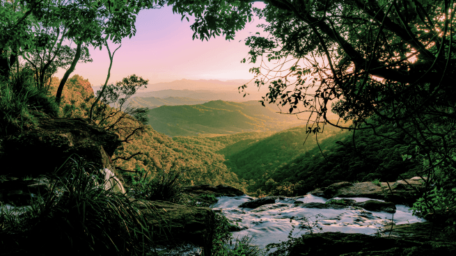 Lamington National Park