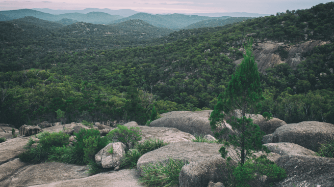 Girraween National Park