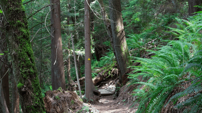 Hiking