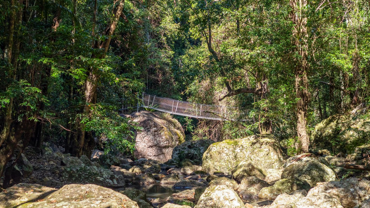 Adobe Stock 964942777